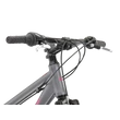 Kép 4/6 - Kross Evado 1.0 női crosstrekking