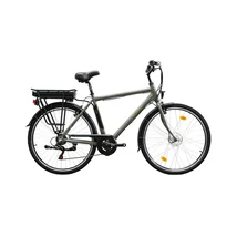 Neuzer Zagon férfi 19 e-trekking mxus zöldes szürke/arany-fekete