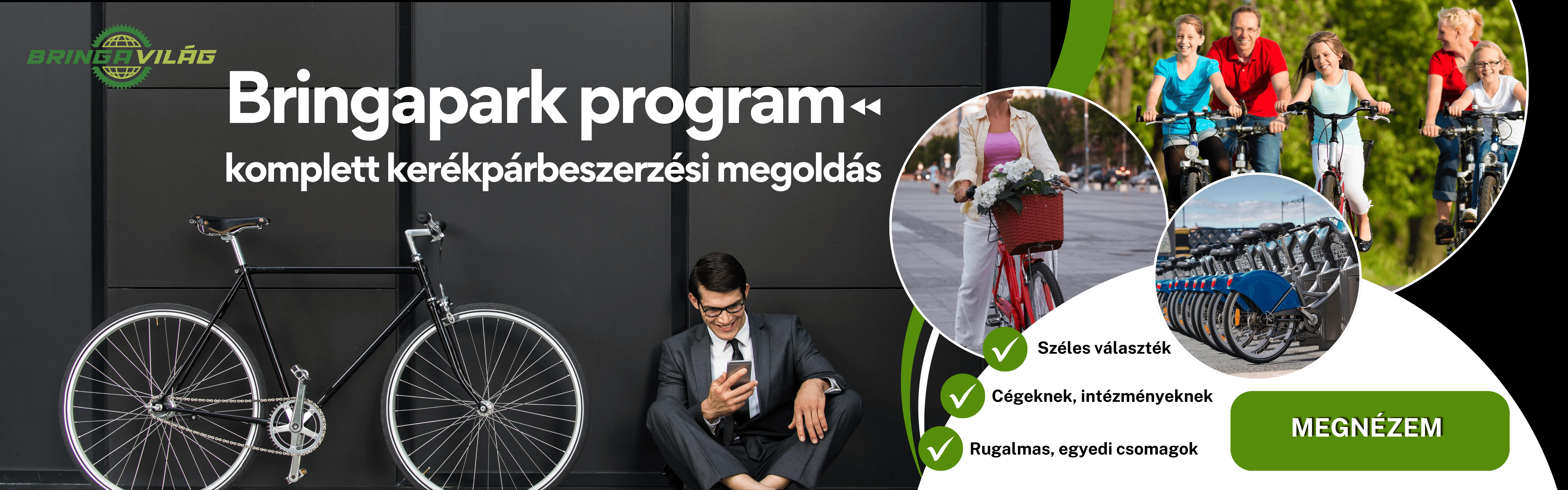 Bringapark program